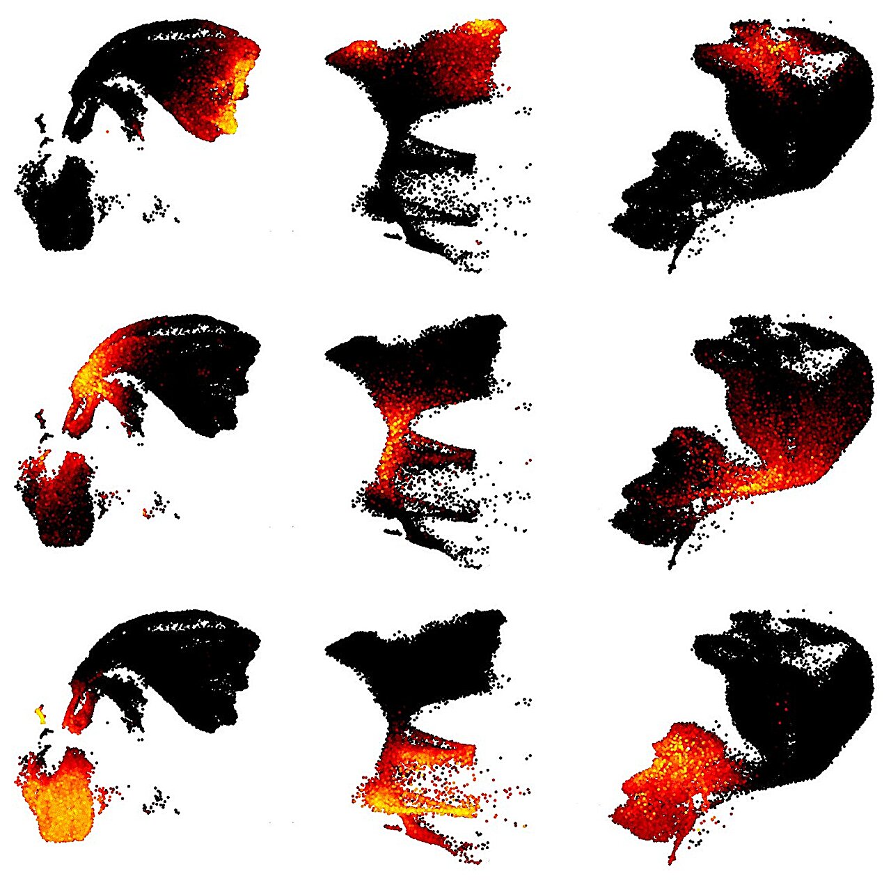A 30-million-cell atlas of the human brain—with limits