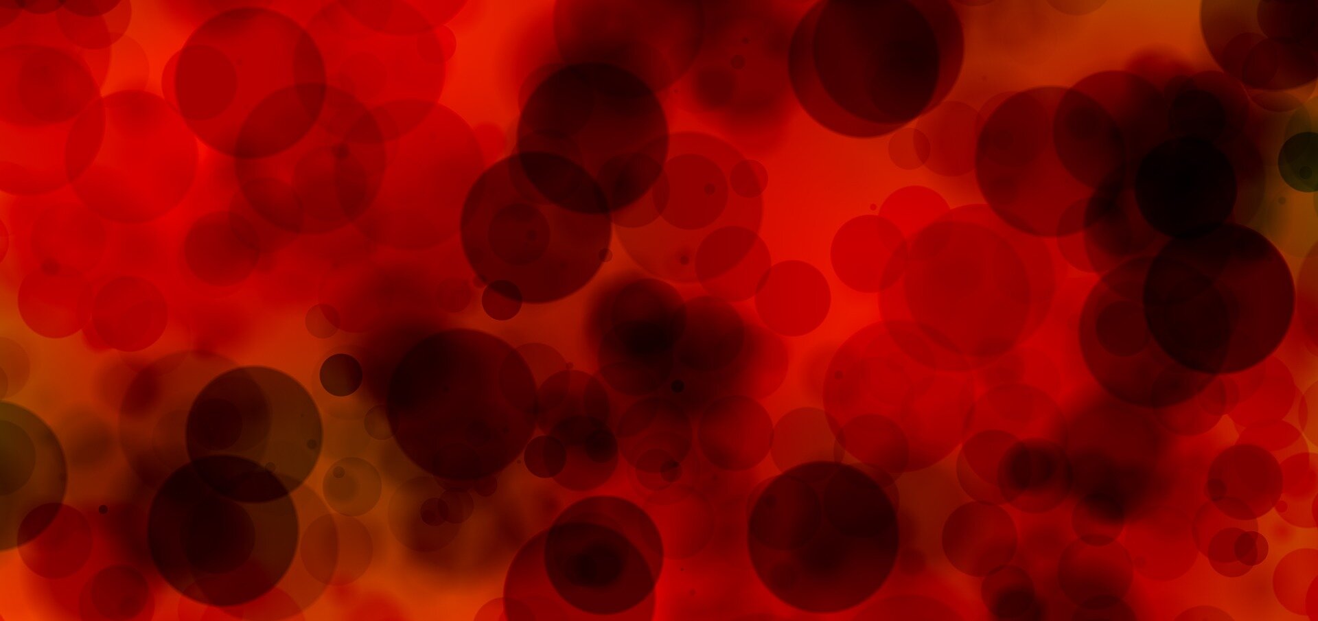 Blood Cancer Data Unites