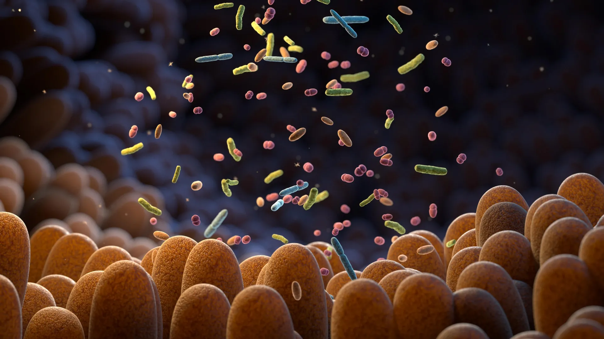 Gut Bacteria May Detect Cancer