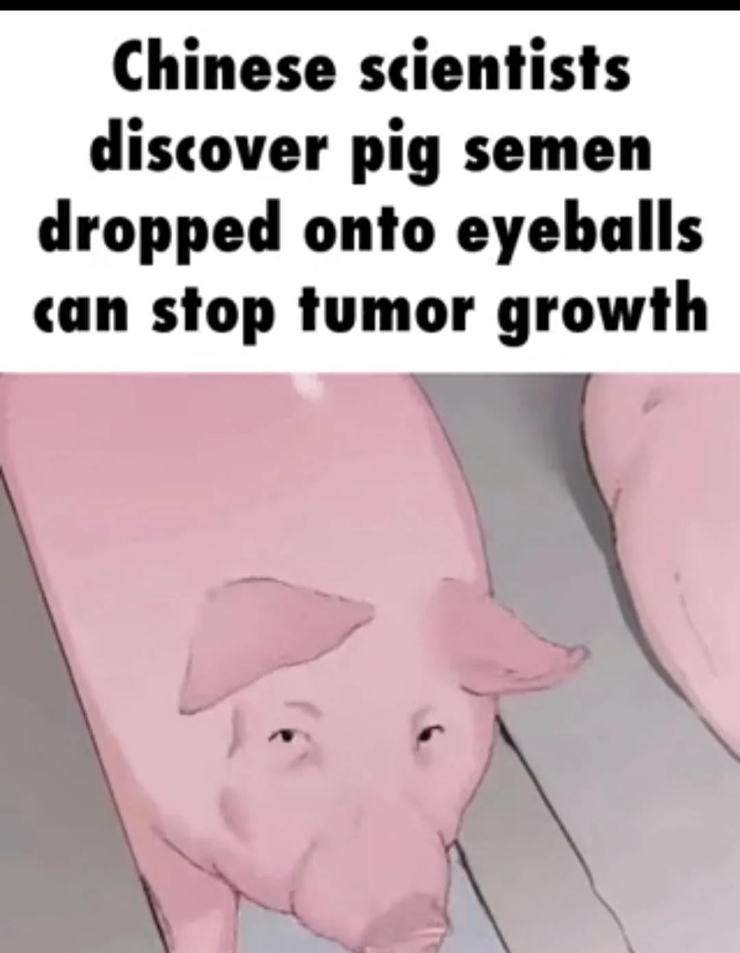 Svinjska sperma u kapi za oči: nova nada protiv raka oka
